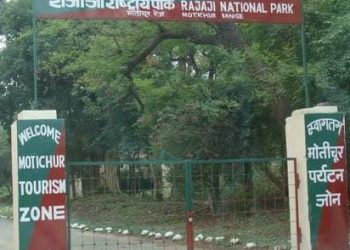 पूर्व आईपीएस के बेटे ने वन कर्मचारियों से करी गाली-गलौज, वीडियो वायरल।