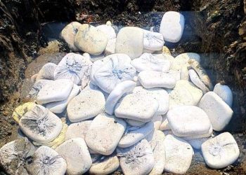 बड़ी खबर: खाद्य सुरक्षा विभाग ने देहरादून में पकड़ा 9 कुंतल मिलावटी पनीर