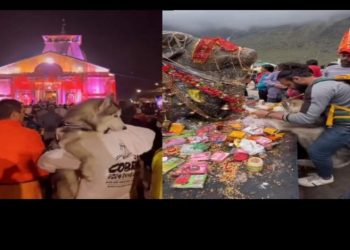 बड़ी खबर:  केदारनाथ धाम में कुत्ता लेकर पहुंचा यात्री। मुकदमा दर्ज