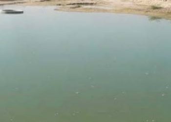 बड़ी खबर: तालाबों और पोखरों से अतिक्रमण हटाने के हाई कोर्ट ने दिए सरकार को आदेश