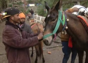 गड़बड़ झाला: रुद्रप्रयाग जिला पंचायत गदी सूल्क के नाम पर कर रहे करोड़ों की वसूली