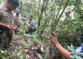 आतंक :मां के सामने ही गुलदार ने 5 वर्षीय बच्चे को बनाया निवाला। ग्रामीणों में खौफ का माहौल