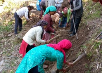 बड़ी खबर: विकास को तरसते पहाड़ वासी। सड़क ना होने के कारण पलायन को मजबूर
