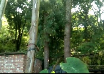 खुलासा : पट्टी पटवारियों की मिलीभगत से भूमाफिया लगा रहे सरकार को चुना