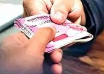 बड़ी खबर : रिश्वत लेता रजिस्ट्रार कानूनगो चढ़ा विजिलेंस के हत्थे। मचा हड़कंप