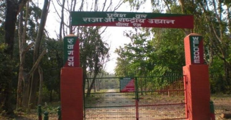 बड़ी खबर: एनजीटी ने राजाजी टाइगर रिजर्व को दिए निर्देश। बंद करे अवैध प्रतिष्ठान