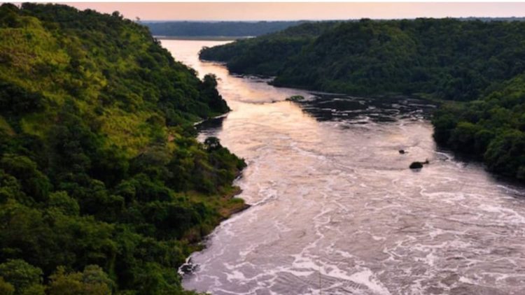 बड़ी खबर: पिंडर नदी पर बने लकड़ी के पुल को पार करते समय माँ, बेटे नदी में बहे