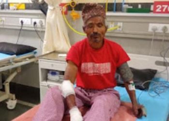 बड़ी खबर: यहां पर भालू के हमले से युवक गम्भीर घायल