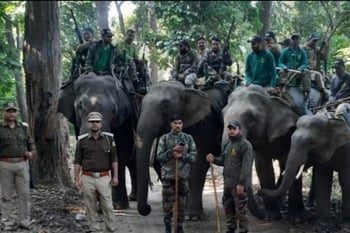 New Year 2023: क्रिसमस-डे और नव वर्ष को लेकर राजाजी टाइगर रिजर्व में रेड अलर्ट जारी