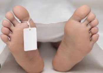 हादसा: अज्ञात वाहन की चपेट में आने से 32 वर्षीय युवक की मौत