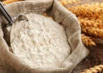 बड़ी खबर: सरकार ने घटाए गेहूं के दाम।पढ़िए पूरी जानकारी