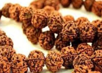 जानिए कब धारण करे रुद्राक्ष।ऐसे लोग भूलकर भी न पहनें, समझें धारण करने के नियम