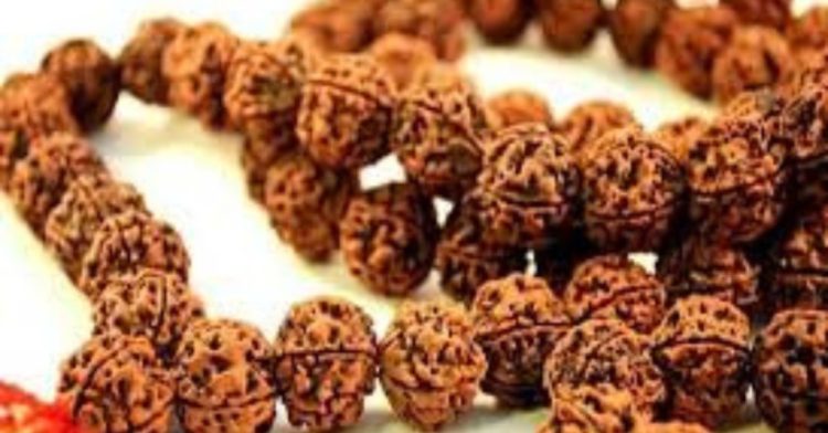 जानिए कब धारण करे रुद्राक्ष।ऐसे लोग भूलकर भी न पहनें, समझें धारण करने के नियम