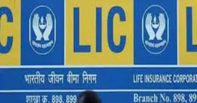 LIC update: शेयरों में आई तेजी।बढ़ा LIC का मुनाफा,इतने दिनों में हुआ इतना प्रॉफिट