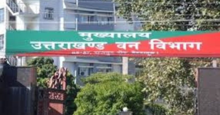 बड़ी खबर: वन विभाग में अधिकारियों के बंपर तबादले