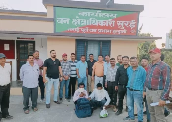 एसटीएफ की बड़ी कार्यवाही:  4 किग्रा 700 ग्राम पैंगोलिन शल्क के साथ 02 शातिर वन्यजीव तस्कर गिरफ्तार