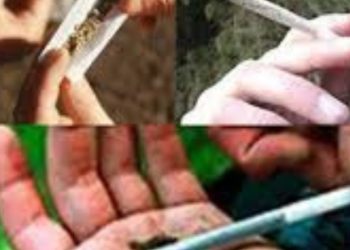 बड़ी खबर: देर शाम नशा मुक्ति केंद्र से19 नशेड़ी फरार