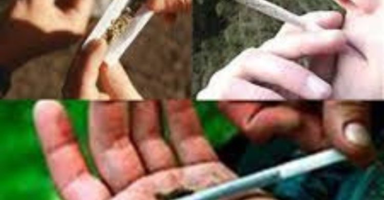 बड़ी खबर: देर शाम नशा मुक्ति केंद्र से19 नशेड़ी फरार