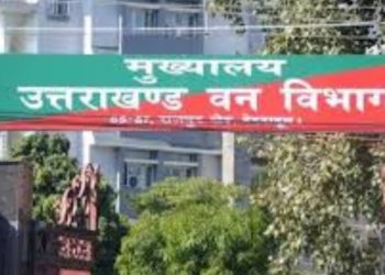 बड़ी खबर: राजीव भरतरी को वन मुखिया का चार्ज देने के लिए हाई कोर्ट ने सरकार को दिए निर्देश