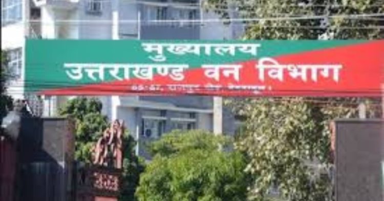 बड़ी खबर: राजीव भरतरी को वन मुखिया का चार्ज देने के लिए हाई कोर्ट ने सरकार को दिए निर्देश