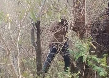 बड़ी खबर: 4 महिलाओं की हत्या करने वाले अभियुक्त ने की आत्मा हत्या