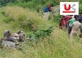 दु:खद हादसा: अनियंत्रित होकर गहरी खाई में गिरा वाहन। 9 की मौत