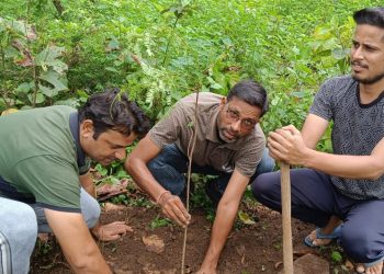 मातृभूमि सेवा संगठन ने बड़ी धूमधाम से मनाया हरेला पर्व