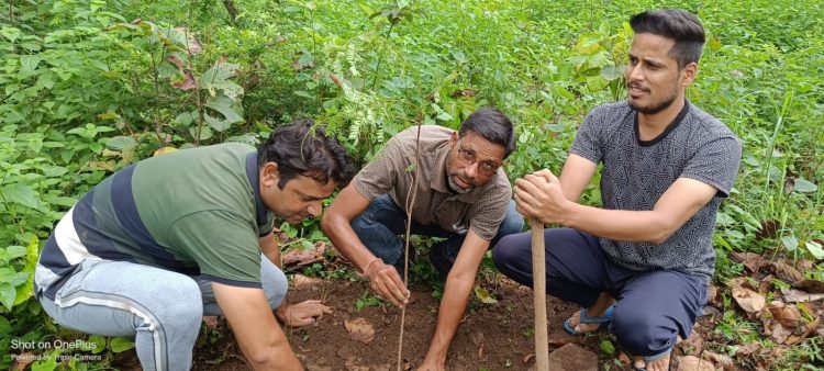 मातृभूमि सेवा संगठन ने बड़ी धूमधाम से मनाया हरेला पर्व