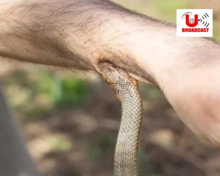 बड़ी खबर: सांप से कटवाकर कारोबारी की हत्या,मृतक की बहन ने करवाया हत्या का मुकदमा दर्ज