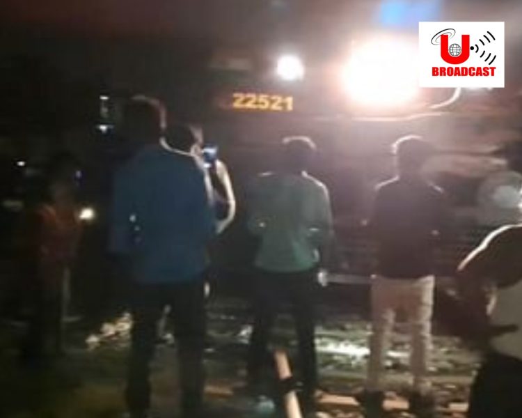 बड़ी खबर: ट्रेन की चपेट में आकर हाथी की मौत