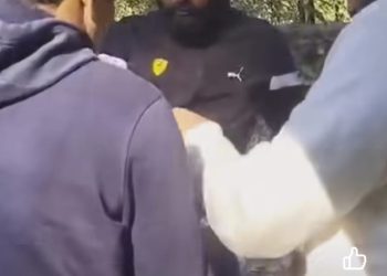 हादसा:- अनियंत्रित होकर खाई में गिरी कार,भारतीय क्रिकेट खिलाड़ी मो.शमी ने किया घायलों को रैस्क्यू