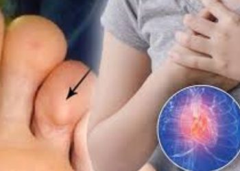 Health news: हार्ट अटैक का सीधा संकेत है पैरों में दिखने वाले ये 5 लक्षण