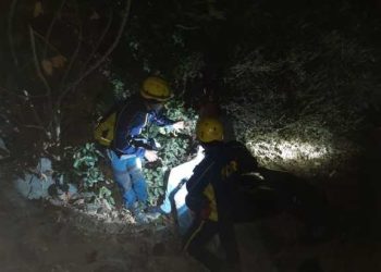 हादसा: खाई में गिरा स्कूटी सवार गंभीर रूप से घायल