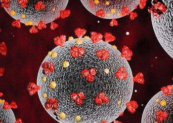 सावधान : केरल में वैरिएंट जेएन.1 मिलने के बाद उत्तराखंड भी सतर्क