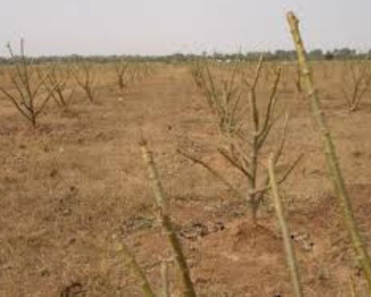 बाहरी राज्य के लोगों ने उत्तरकाशी के मोरी पुरोला में खरीदी सैकड़ो हेक्टेयर जमीन,जंगलात पर किया कब्जा