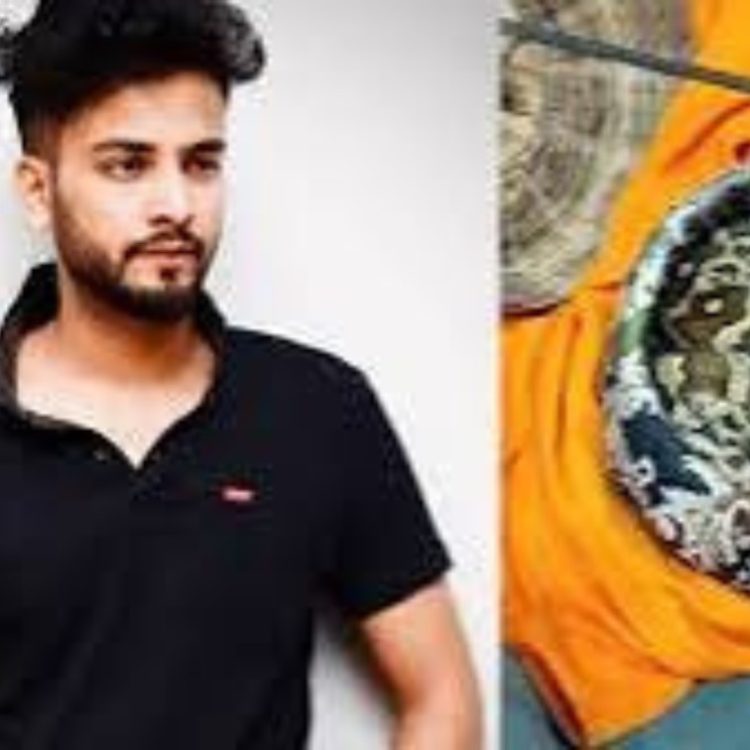 बड़ी खबर : यूट्यूबर एल्विश यादव 14 दिन के लिए पुलिस की गिरफ्त में