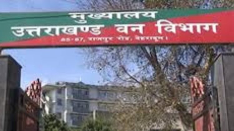 बड़ी खबर : मानकों की अनदेखी पर आईएफएस मनोज को दी चार्जशीट