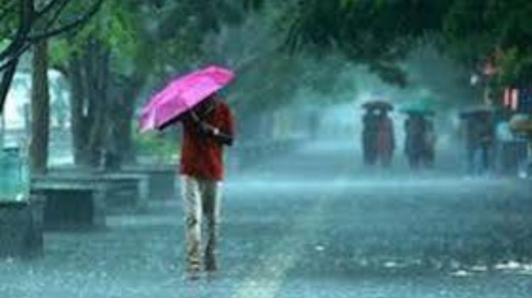 IMD Alert: मौसम विभाग ने इन जिलों में भारी बारिश की जताई संभावना,येलो अलर्ट जारी