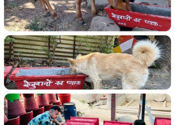 मनुष्य से लेकर पशु पक्षियों को भी समर्पित हैं हल्द्वानी के युवाओं का वंदे मातरम ग्रुप