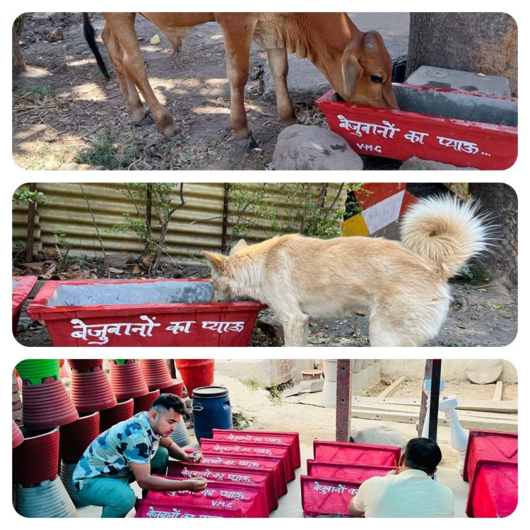 मनुष्य से लेकर पशु पक्षियों को भी समर्पित हैं हल्द्वानी के युवाओं का वंदे मातरम ग्रुप