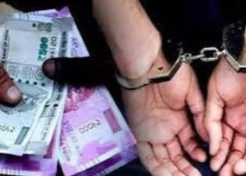 बड़ी खबर : विद्युत विभाग के दो लाइनमैनों को रिश्वत लेते विसिलेंस ने किया गिरफ्तार