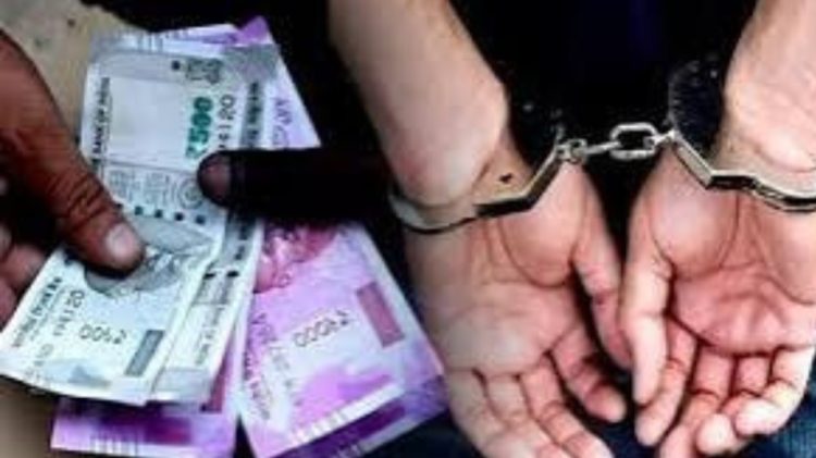 बड़ी खबर : विद्युत विभाग के दो लाइनमैनों को रिश्वत लेते विसिलेंस ने किया गिरफ्तार