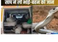 दुःखद :  यहां पर सांप के डसने से मासूम भाई-बहन की मौत