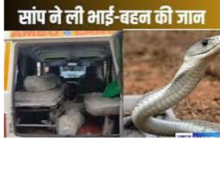 दुःखद : यहां पर सांप के डसने से मासूम भाई-बहन की मौत
