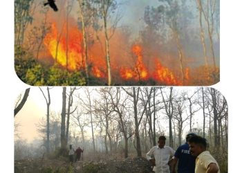 बड़ी खबर : भीषण गर्मी के बीच हल्द्वानी गांवों से सटे जंगल में लगी भीषण आग वन विभाग के हाथ पांव फूलें