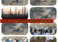 तराई पूर्वी प्रभाग के जंगलों में बेकाबू आग देर रात तक धधक रहें जंगल,राष्ट्रीय राजमार्ग भी हुआ बाधित