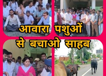 लालकुआं न्यूज :- सड़क पर घूम रहें आवारा पशुओं का आतंक रुकवाने के लिए ग्रामीणों ने किया प्रदर्शन