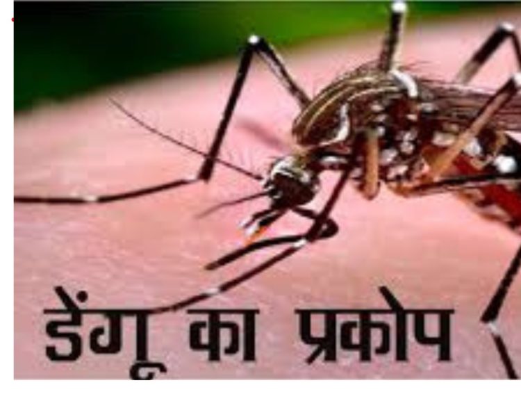 सावधान : राज्य में फिर बढ़ रहे डेंगू के मामले,5 जिलों में मिले इतने केश