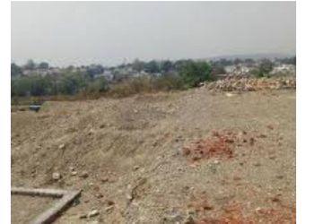 एसआईटी जांच: गोल्डन फॉरेस्ट की जमीन को फर्जी तरीके से बेचने का खुलासाः मुकदमा दर्ज