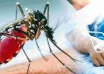 ऐक्शन : स्वास्थ्य विभाग अलर्ट मोड पर,अगर मिला डेंगू का लार्वा तो होगा एक लाख का जुर्माना